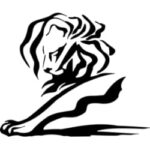 Juliana Patera - Cannes Lions Awards